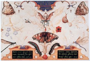 Diptiek met bloemen en insecten, 1591 door Joris Hoefnagel