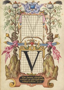 Handleiding voor het construeren van de letter V door Joris Hoefnagel