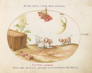 Plaat 39: Drie Puppies met een Krat en een Tros Druiven