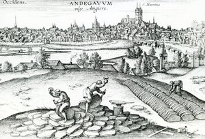 Leisteengroeve in Angers, 1561 door Joris Hoefnagel