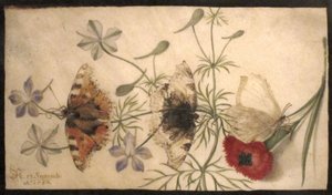 Studies van bloemen en vlinders door Joris Hoefnagel