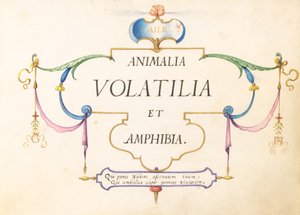 Titelpagina door Joris Hoefnagel