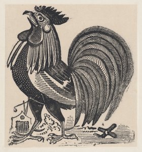 Een haan, ca. 1880-1910