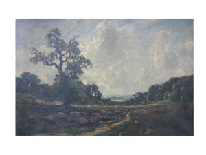 De weg over de heide door Jose Weiss