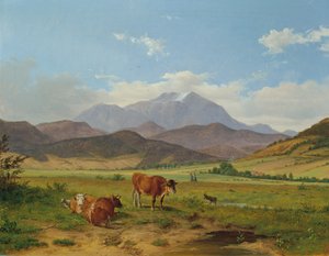 Landschap met Schneeberg door Josef Feid