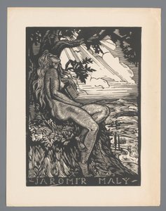 Ex libris van Jaromír Malý