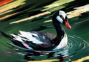 Dieren: zwarte zwaan 1