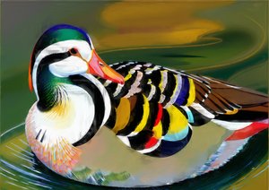 Dieren: mandarijneend 3