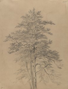  door Josef Kriehuber