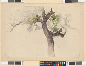 Boomstudie door Josef Kriehuber