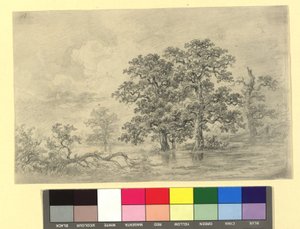 Rivierlandschap met bomen