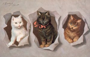 Katten ansichtkaart door Josef Sperlich