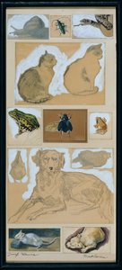 Dierstudies (12 schetsen)