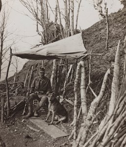 Album "Meine weltkriegs - Erinnerungen Zuidwestfront (Karinthië, Italië, Zuid-Tirol) 31/03/1915-12/11/1918 - Josef Zohles Wien": militaire hond onder een tent door Josef Zohles