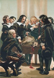 William Harvey demonstreert de bloedsomloop
