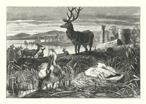 Het Verval van Aardse Pracht door Joseph (after) Wolf