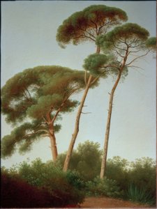 Pijnbomen door Joseph August Knip