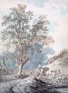 Kar en paard