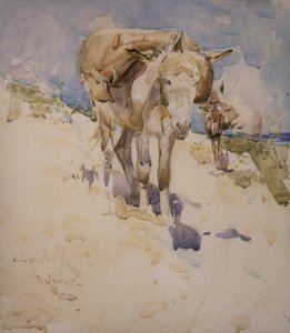 Tanger door Joseph Crawhall