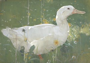 De Witte Draak door Joseph Crawhall