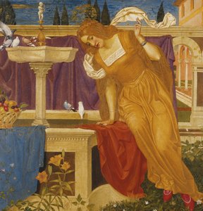 Schoonheid die het Beeld van haar Huis in de Fontein Ziet door Joseph Edward Southall