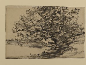 Studie van bomen, 1870 door Joseph Frank Currier