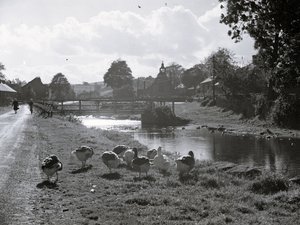 Gezicht op een beek met brug erover, op de voorgrond ganzen en op de achtergrond gebouwen en wat een kerk lijkt te zijn; architectuur; religieus; kerkelijk; door Joseph Hardman