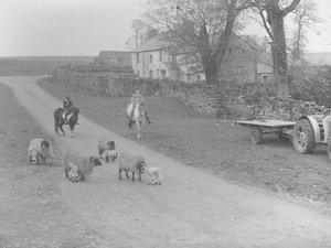 Een uitzicht op schapen, lammeren, twee kinderen op pony