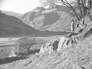 Vrouw op rotsen onder boom met uitzicht op Langdale Fells