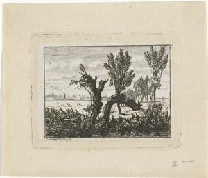 Landschap met knotwilgen
