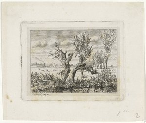 Landschap met knotwilgen