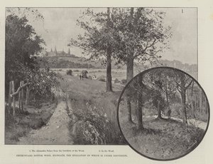Churchyard Bottom Wood, Highgate, de Verwoesting die Onder Discussie Staat door Joseph Holland Tringham