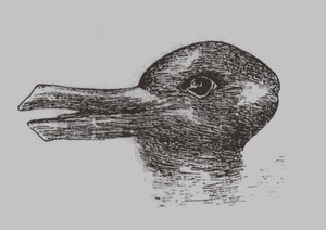 Eend-Konijn illusie. Uit: Jastrow, J. Het oog van de geest. Popular Science Monthly, 1899 door Joseph Jastrow