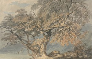  door Joseph Mallord William Turner