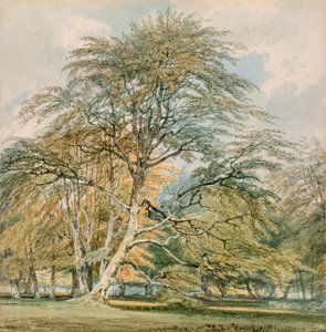  door Joseph Mallord William Turner