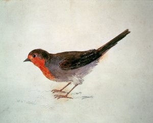 Roodborstje, uit The Farnley Book of Birds, c.1816 door Joseph Mallord William Turner