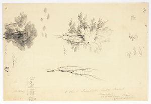 Schetsen van iepen en essen door Joseph Mallord William Turner