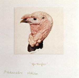 De kalkoen door Joseph Mallord William Turner