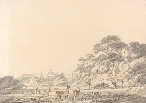 Windsor Castle en Park met herten