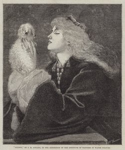 Pluizig door Joseph Middleton Jopling