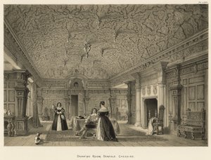Salon, Dorfold, Cheshire