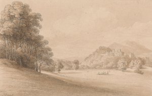 Kasteel Dunster, Somerset: Kasteel in de verte door Joseph Powell