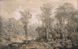 Australisch Bos