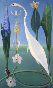 De Witte Reiger