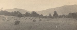 Landschap met bomen en bergen door Joseph T. Keiley