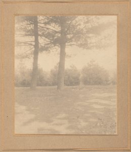 Landschap met bomen, ca. 1900