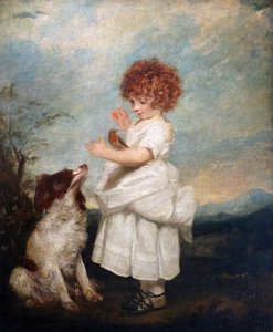 Portret van Meester Philip Yorke door Sir Joshua Reynolds