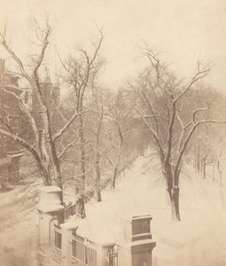 Sneeuwscène in Boston Common