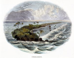 Koraalriffen, uit Verschijnselen van de Natuur, 1849