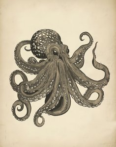 Elegante vintage octopus door Josie George